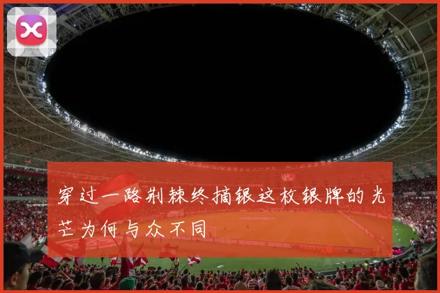 穿过一路荆棘终摘银这枚银牌的光芒为何与众不同