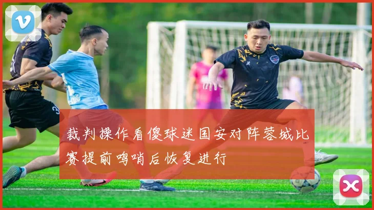 裁判操作看傻球迷国安对阵蓉城比赛提前鸣哨后恢复进行
