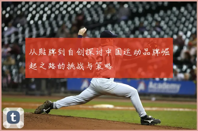 从贴牌到自创探讨中国运动品牌崛起之路的挑战与策略